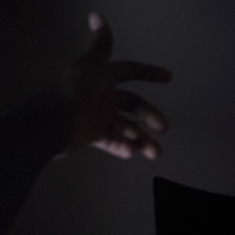 Hands - Picture 2 of 2